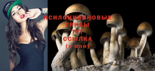 кокс Козельск