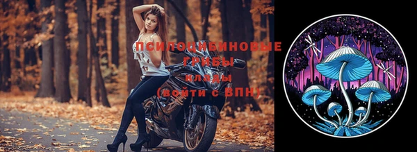 spice Козловка